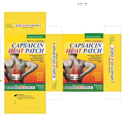 0.025 Capsaicin Pain Relief Patch 85323-005-01 (0.025 Capsaicin Pain Relief Patch 85323 005 01)